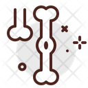 پیش‌نمایش فایل bones-3394771 از پک اندام‌ها