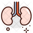 پیش‌نمایش فایل kidneys-3394784 از پک اندام‌ها