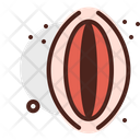 پیش‌نمایش فایل vagina-3394808 از پک اندام‌ها