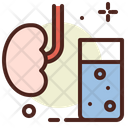 پیش‌نمایش فایل kidney-water-3485989 از پک بیماری