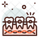 پیش‌نمایش فایل tooth-braces-4336907 از پک دندانپزشکی