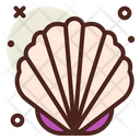 پیش‌نمایش فایل sea-shell-4343755 از پک غواصی
