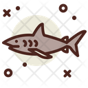 پیش‌نمایش فایل shark-4343754 از پک غواصی