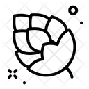 پیش‌نمایش فایل pinecone-4343915 از پک پاییز