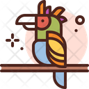 پیش‌نمایش فایل parrot-4347129 از پک استرالیا
