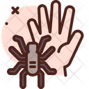 پیش‌نمایش فایل tarantula-4347131 از پک استرالیا
