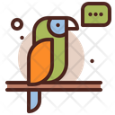 پیش‌نمایش فایل parrot-4348307 از پک دزد دریایی