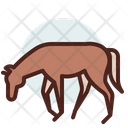 پیش‌نمایش فایل horse-4340275 از پک سواری اسب