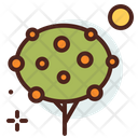 پیش‌نمایش فایل orange-tree-4350278 از پک اسپانیا