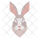 پیش‌نمایش فایل rabbit-face-4316710 از پک حیوانات