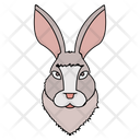 پیش‌نمایش فایل rabbit-face-4316727 از پک حیوانات