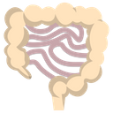 پیش‌نمایش فایل intestine-4316580 از پک پزشکی