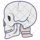 پیش‌نمایش فایل skull-4414638 از پک پزشکی