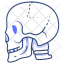 پیش‌نمایش فایل skull-4411089 از پک پزشکی و مراقبت سلامت