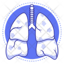 پیش‌نمایش فایل lungs-4411072 از پک پزشکی و واکسن