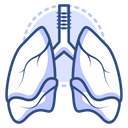 پیش‌نمایش فایل lungs-4411053 از پک پزشکی و واکسن