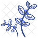 پیش‌نمایش فایل arabica-leaf-4573396 از پک قهوه و شیر