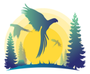 پیش‌نمایش فایل parrot-4416866 از پک حیوانات