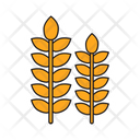 پیش‌نمایش فایل wheat-8382428 از پک مزرعه