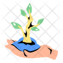 آیکن