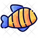 پیش‌نمایش فایل fish-1687553 از پک سفر