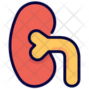 پیش‌نمایش فایل kidney-1800490 از پک سلامت و پزشکی، جلد ۱