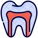 پیش‌نمایش فایل anatomy-2120832 از پک دندانپزشکی
