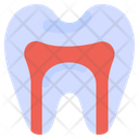 پیش‌نمایش فایل anatomy-2126713 از پک دندانپزشکی