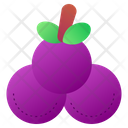 پیش‌نمایش فایل grape-3034989 از پک میوه‌ها