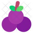 پیش‌نمایش فایل grape-3034964 از پک میوه‌ها
