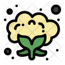 پیش‌نمایش فایل cauliflower-4673816 از پک غذا – جلد ۱