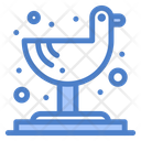 پیش‌نمایش فایل seagull-4679084 از پک سفر
