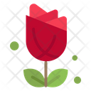 پیش‌نمایش فایل rose-5063544 از پک آمریکا، جلد ۳