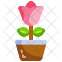 پیش‌نمایش فایل rose-5188834 از پک روز مادر
