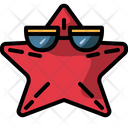 پیش‌نمایش فایل starfish-4000237 از پک سفر