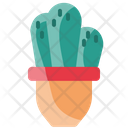 پیش‌نمایش فایل cactus-4000301 از پک سفر