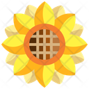 پیش‌نمایش فایل sunflower-4331173 از پک شکرگزاری