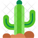 پیش‌نمایش فایل cactus-11134618 از پک گردشگری