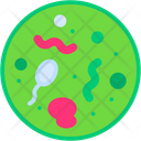 پیش‌نمایش فایل bacteria-11097596 از پک آموزش