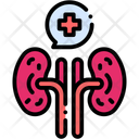 پیش‌نمایش فایل kidney-11107359 از پک مراقبت بهداشتی
