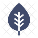 پیش‌نمایش فایل leaf-1836744 از پک پاییز