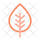 پیش‌نمایش فایل leaf-1836684 از پک پاییز