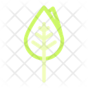 پیش‌نمایش فایل leaves-1836308 از پک بهار