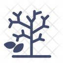 پیش‌نمایش فایل bare-tree-1875263 از پک گیاه و درخت