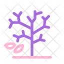 پیش‌نمایش فایل bare-tree-1875243 از پک گیاه و درخت