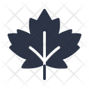پیش‌نمایش فایل maple-2755656 از پک طبیعت و فضای باز