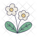 پیش‌نمایش فایل flower-4970440 از پک بهار