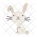 پیش‌نمایش فایل bunny-4970457 از پک بهار