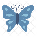 پیش‌نمایش فایل butterfly-4970461 از پک بهار