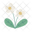 پیش‌نمایش فایل flower-4970463 از پک بهار